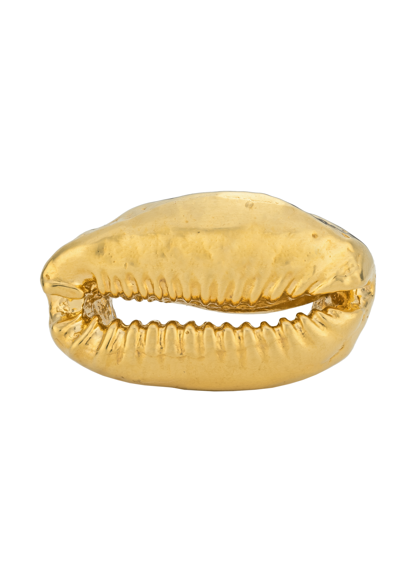 Solid Cowrie Ring