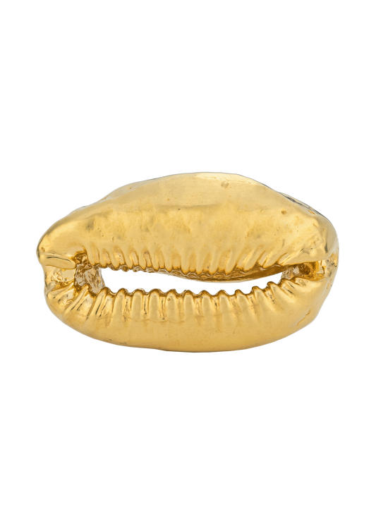 Solid Cowrie Ring