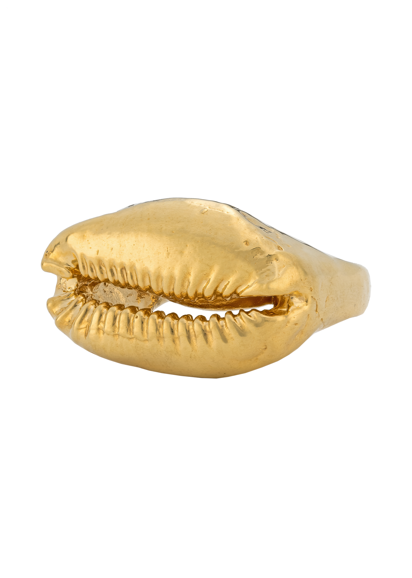 Solid Cowrie Ring