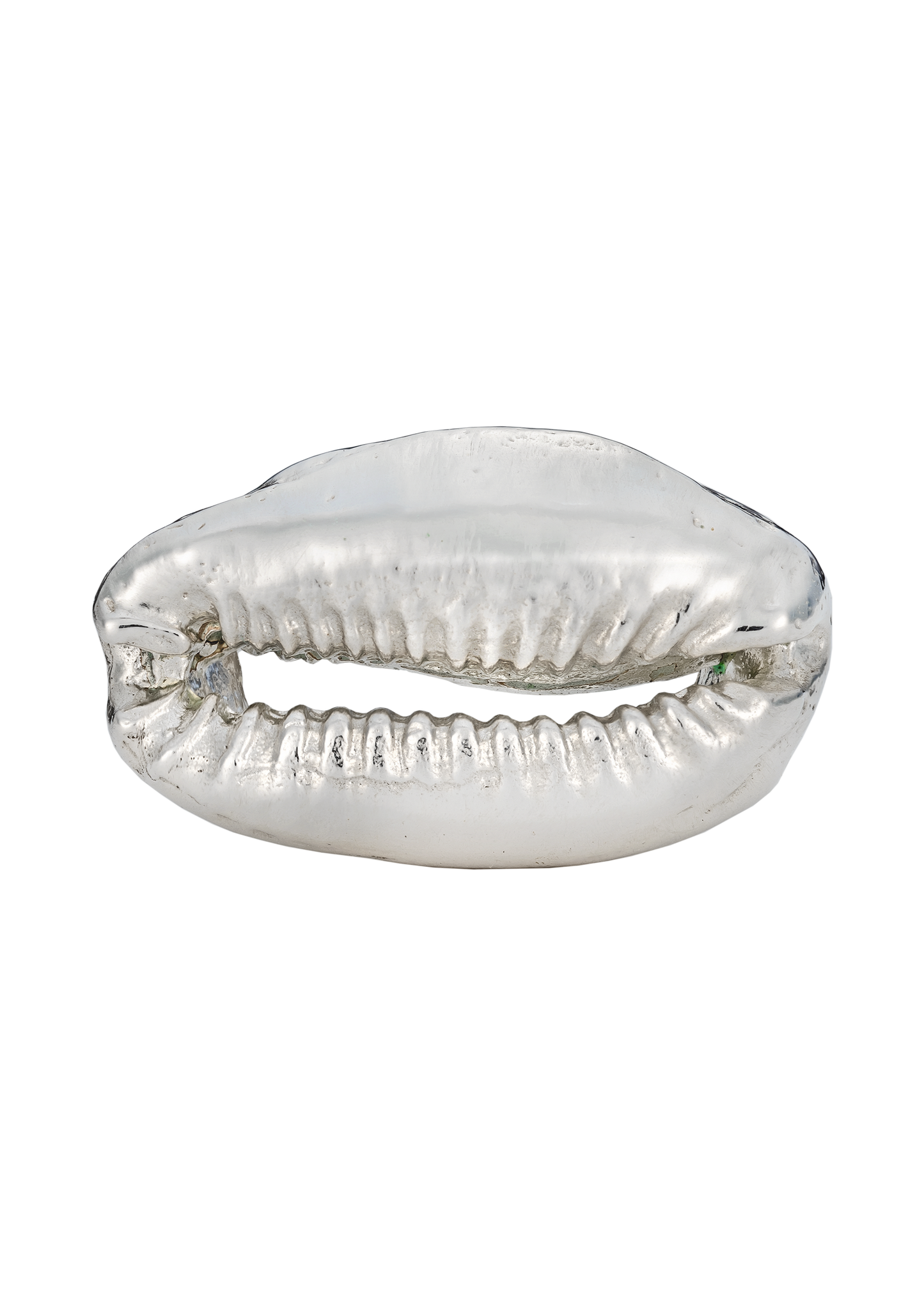 Solid Cowrie Ring