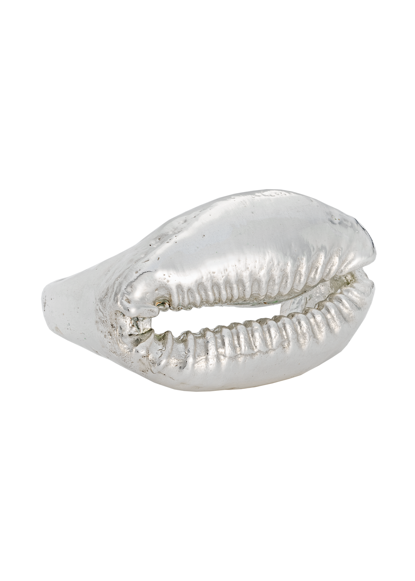 Solid Cowrie Ring