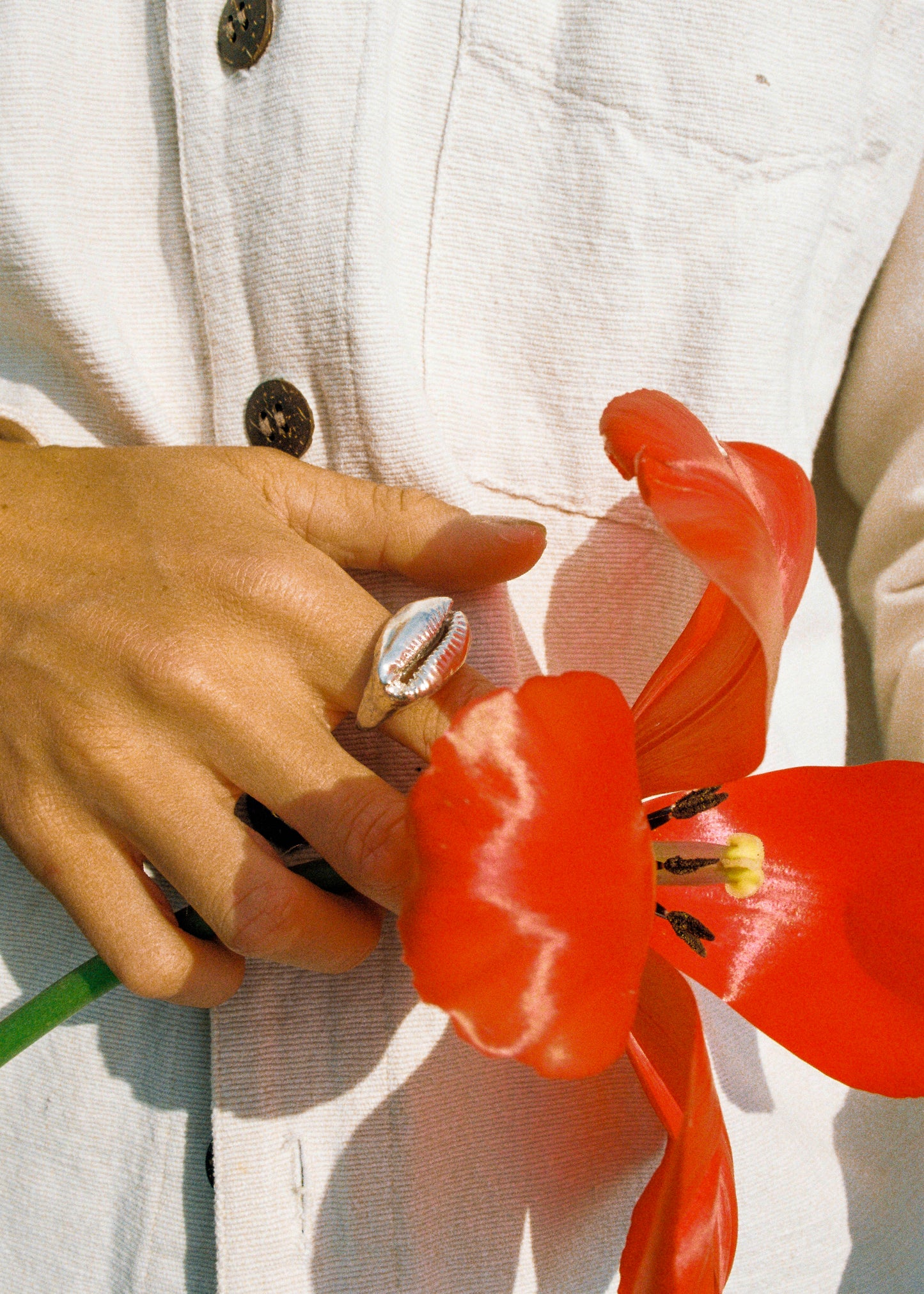 Solid Cowrie Ring